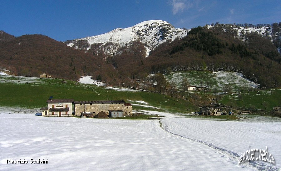 02 Tra erba e neve.JPG